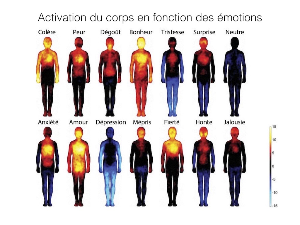 Emotions et réactions physiologiques